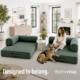 Green boneless couch with woman and dog sitting on it.
